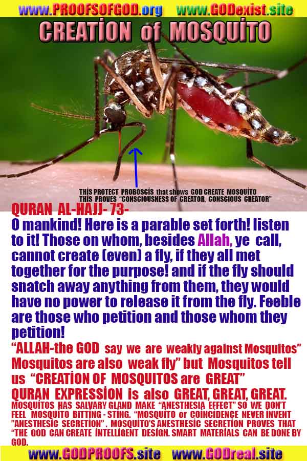 how to find god, what are proofs of god? god exists