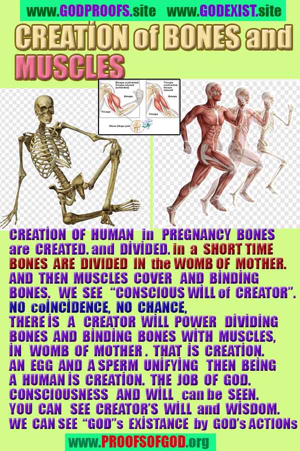 how to find god, what are proofs of god? god exists here proofs