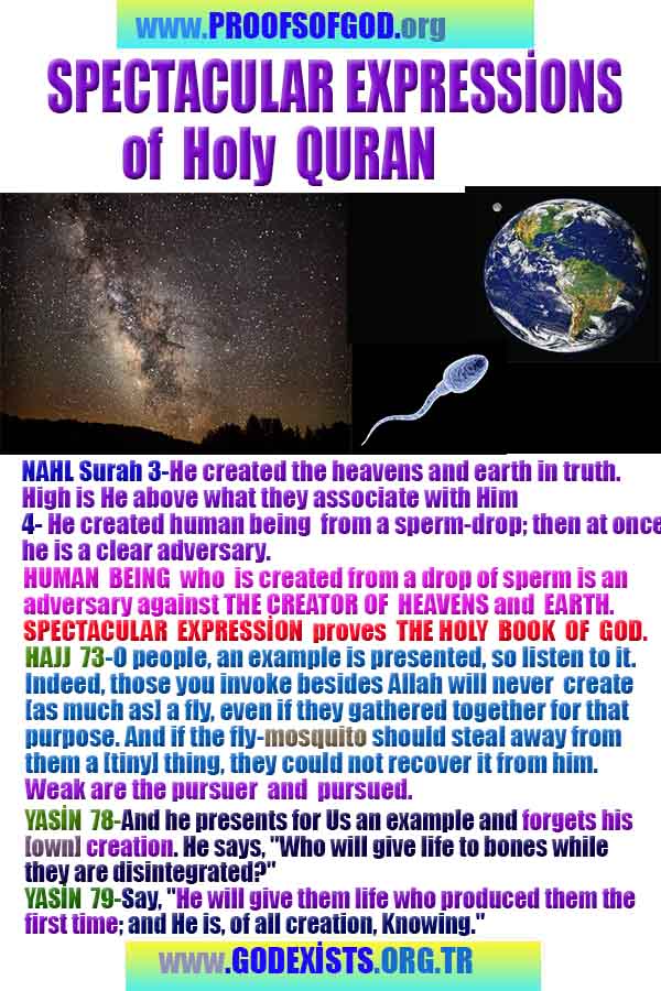 how to find god, what are proofs of god? god exists