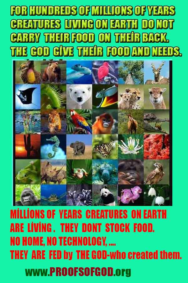 how to find god, what are proofs of god? god exists here proofs