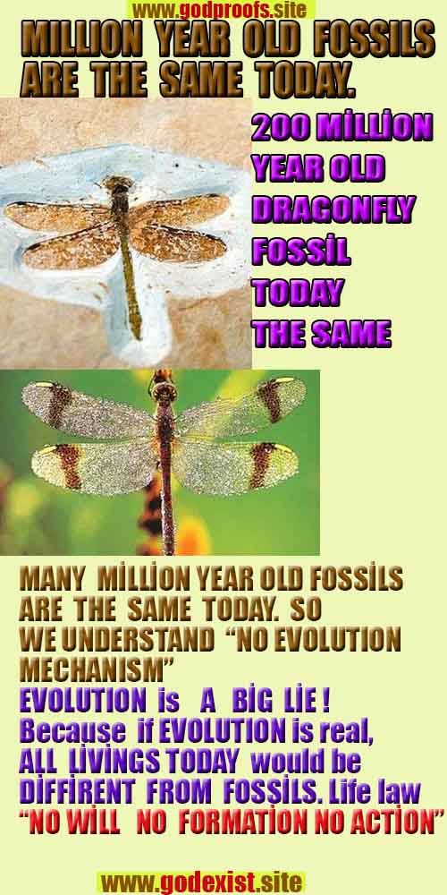 how to find god, what are proofs of god? god exists