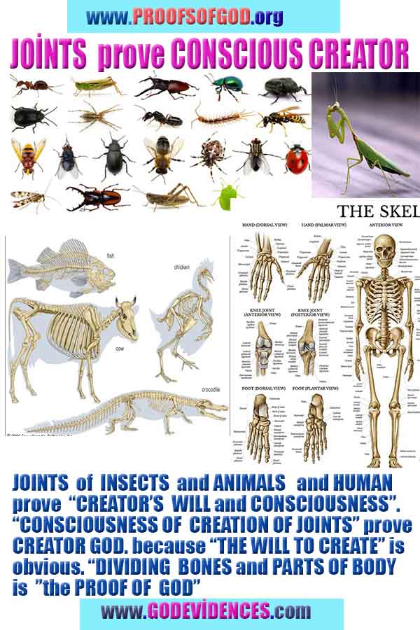 what are the evidences of God?