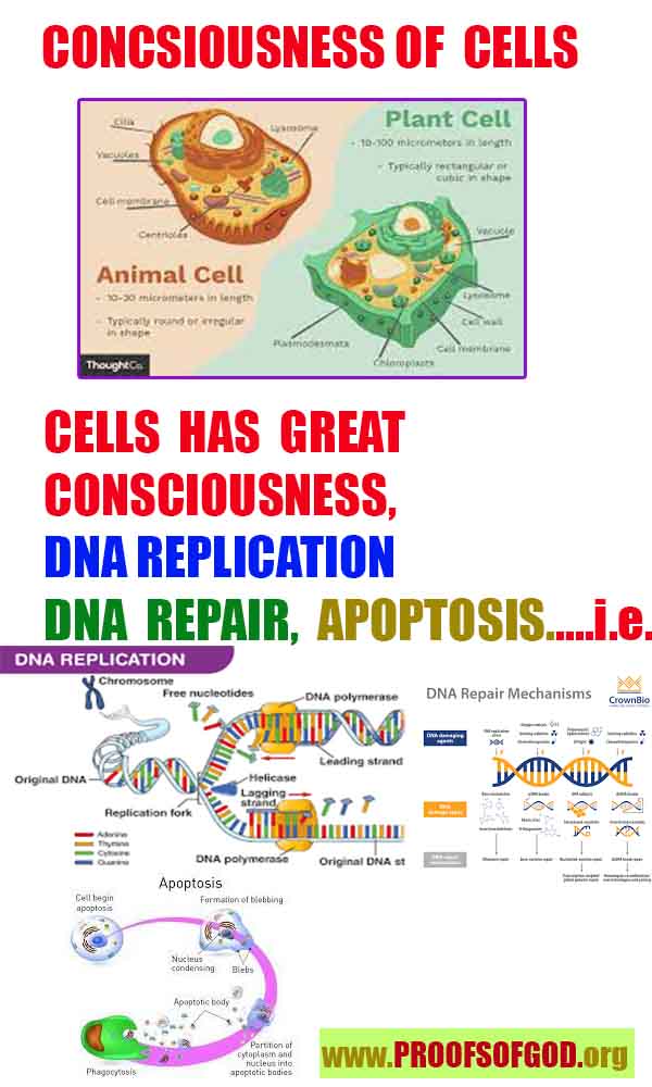 how to find god, what are proofs of god? god exists