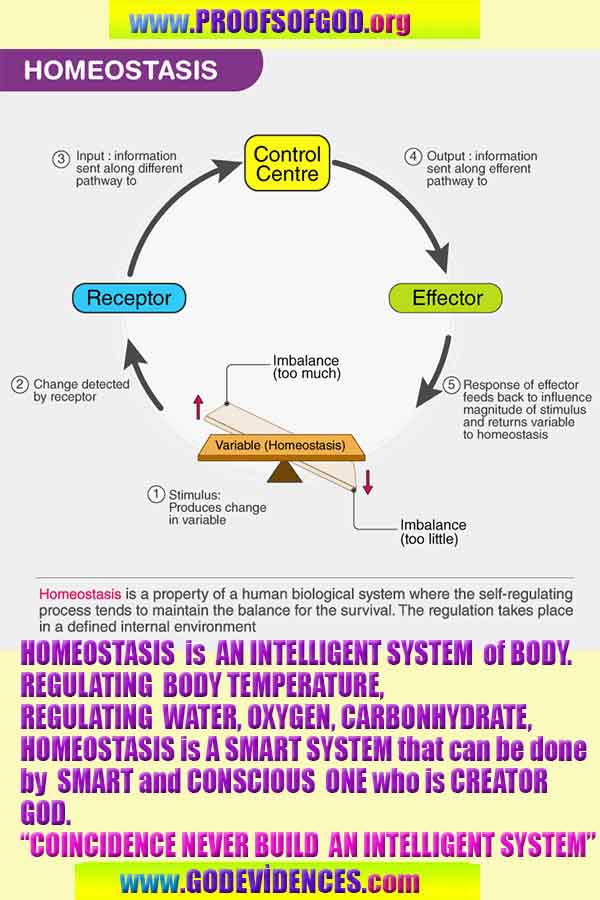 what are the proofs of God?