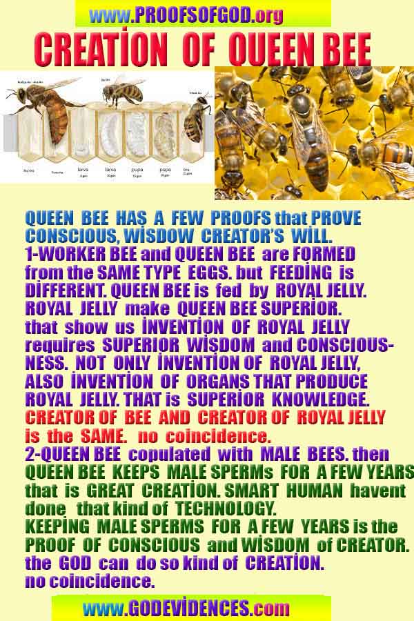 how to find god, what are proofs of god? god exists