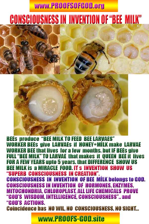 how to find god, what are proofs of god? god exists here proofs