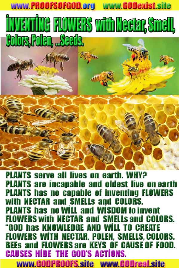 how to find god, what are proofs of god? god exists