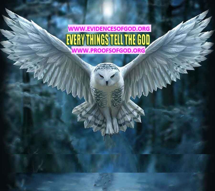 what are the evidences of God?