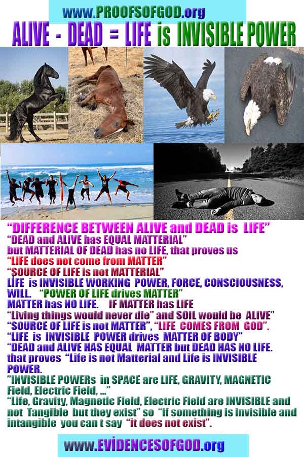 how to find god, what are proofs of god? god exists proofs